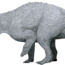 트리케라톱스-3 이미지