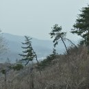 남한강 자전거도로 이미지