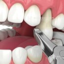 현치과교정과치과의원 이미지