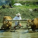 사암2리 이미지