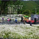 ┏◑10/15일옥정호산구절초축제&정읍한우먹기/여행,트레킹 이미지