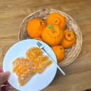 유가농장 이미지