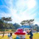 신안 임자도 대광해수욕장 서해안 섬 여행 서해바다 추천