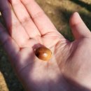 행복한들 이미지