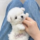 대홍약국 이미지