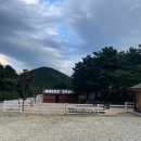 자라온농장 | 강원도 가족여행 속초숙소 추천 켄싱턴리조트 설악밸리 2일차 휴양시설과 산책로