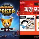 로얄카지노PC 이미지