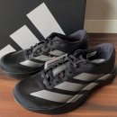 6208 | 러닝 초보들을 위한 러닝화 아디다스 아디제로 EVO SL 후기 사이즈