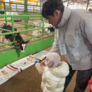 통진목장 이미지