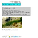 중리어촌체험마을 | 서산 중리어촌마을, 갯벌체험부터 숙소까지 가성비 주말여행 준비 완! [해양레저관광박람회 서포터즈 1기]