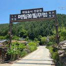 봉평메밀국수 이미지