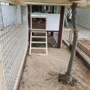 장형농장 이미지