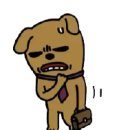 영어회화초급 이미지