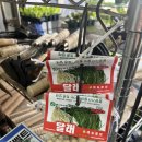 흥농종묘사 이미지