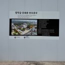 국제라지에타 | 일년에 두 번 열리는 창덕궁 희정당 관람하다