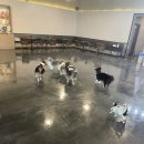 카페아띠 이미지