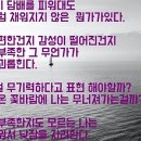 용인대 은성 태권도 이미지