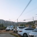열매정육