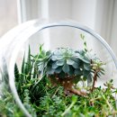 가드닝과 정원만들기 이미지