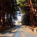 덕산마을회관 이미지