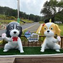 국립김천숲속야영장 백패킹존 후기