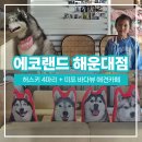 애견랜드 | [아이랑 부산여행] 해운대 카페 에코랜드 🐺허스키 애견카페 후기 :-)