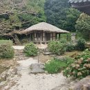 초의선사가 40년간 머문 곳... 한국차(茶)의 성지 일지암