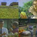 따봉맥주 이미지