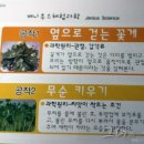 칭찬나라큰나라 이미지