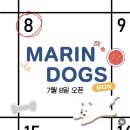 마린독스 이미지