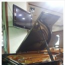 삼호교회 이미지