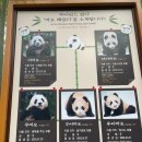 씨유대전비래풍경점 | 주말 에버랜드 (주차 + 사파리 후기)