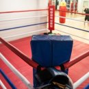 박창환 복싱클럽 이미지