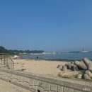 모포여락 이미지