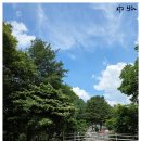 치악산둘레길 5코스 서마니강변길 | [치악산둘레길]5길 서마니강변길 2026.6.11
