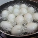 오늘은오리 Daum카페