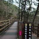 구포무장애숲길 주차장 화장실 이미지