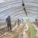 부여군청 이미지