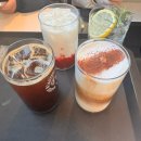 11260-1-80-7 | ☕ 기대 안 하고 갔는데 사진부터 찍게 된 곳 대구 콘티80 체감 후기