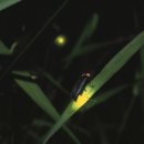 웃뜨르빛센터 이미지