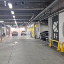 세종클린세차