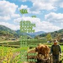 24절기는 양력 날짜 이미지