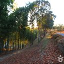 산림자원연구소 이미지