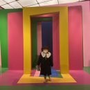 5세 아이와 미술관 _ 앙리마티스 라이프 앤 조이 전시회, 오디오가이드 무료, 주차 요금 할인