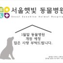 햇빛 동물병원 이미지