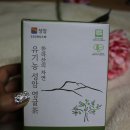 [뷰티풀제주] 제주기념품샵에서 유기농 성암 영귤차