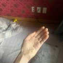 더웰피부과의원 이미지