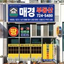 주정차061 네이버블로그