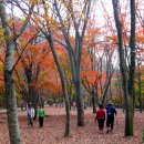 청암공원 이미지