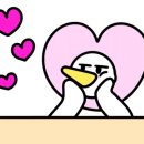 피치플레이버1